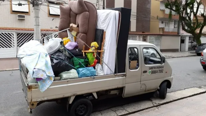Carretos e Pequenas Mudanças