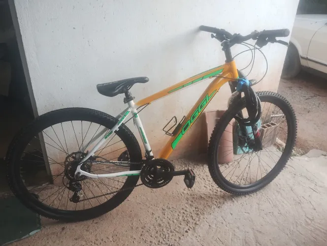 Vendo duas Bicicletas, uma GTS 21 marchas freios a disco, de alumínio, e uma Ceci Caloi