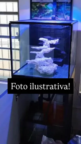 Aquário marinho completo