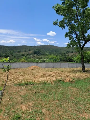 Lote com 667 m² e vista definitiva para a mata, perfeito para construir a casa dos seus so