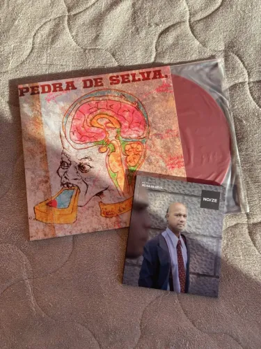 Curumim - Pedra de Selva - Vinil Noize Record Club