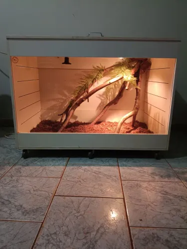 Terrário para Répteis (1m C x 60cm L x 80cm A)