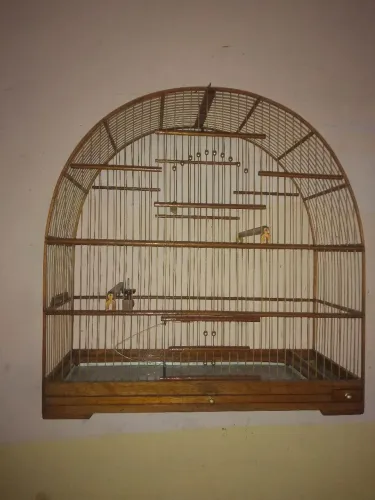 Gaiola