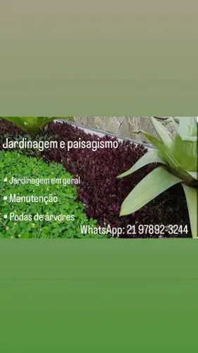 Nunes Jardinagem e paisagismo