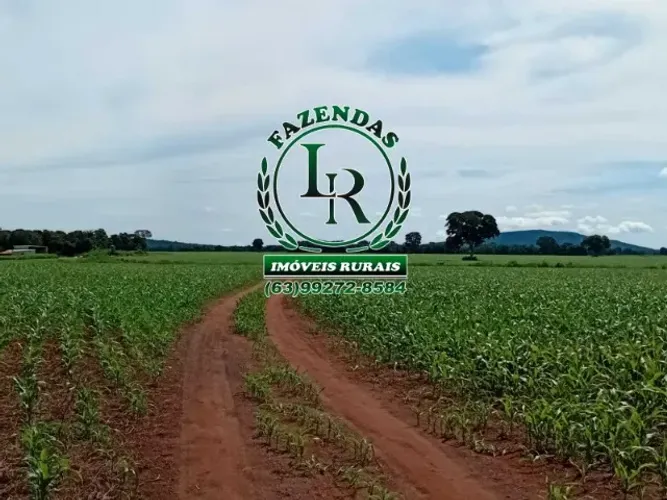 Fazenda Tocantins 180 Alqueires Dupla Aptidão
