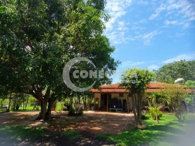 Chácara à Venda em Trindade, Goiás - 2 Alqueires, Casa com 5 Quartos, Piscina