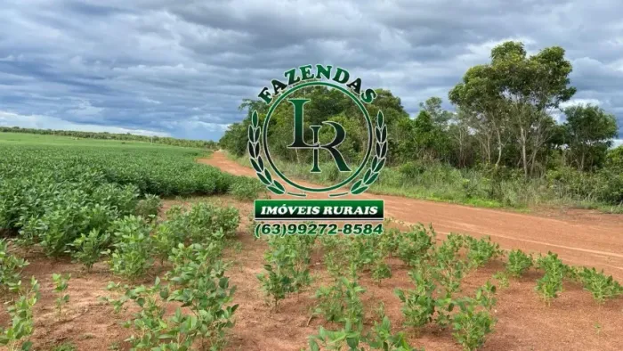 Fazenda Bruta, 174 Alqueires Dupla Aptidão Tocantins