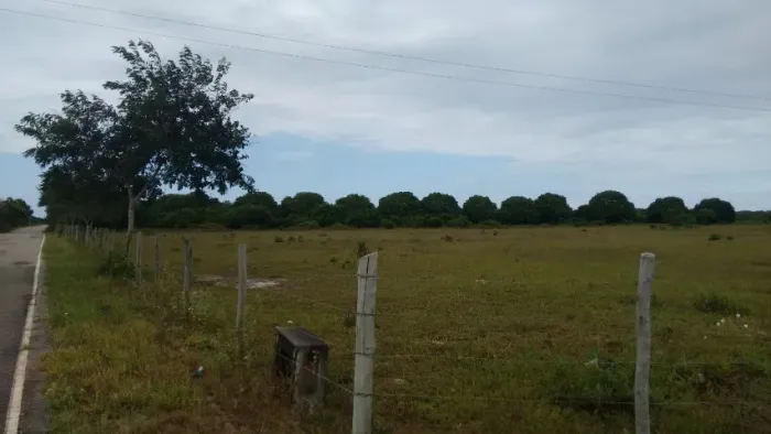 Fazenda de 320.000 m2 as margens do asfalto