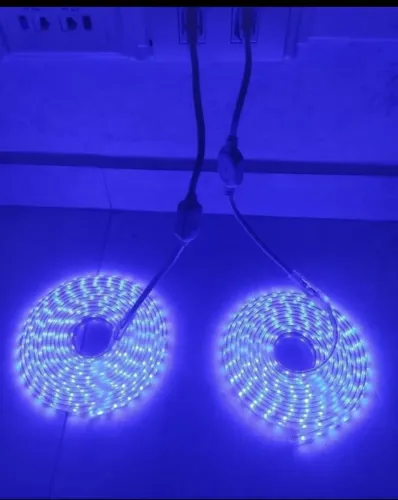 Fita Led mangueira Azul Bivolt + Conector Completo - 4 metros cada fita. 
