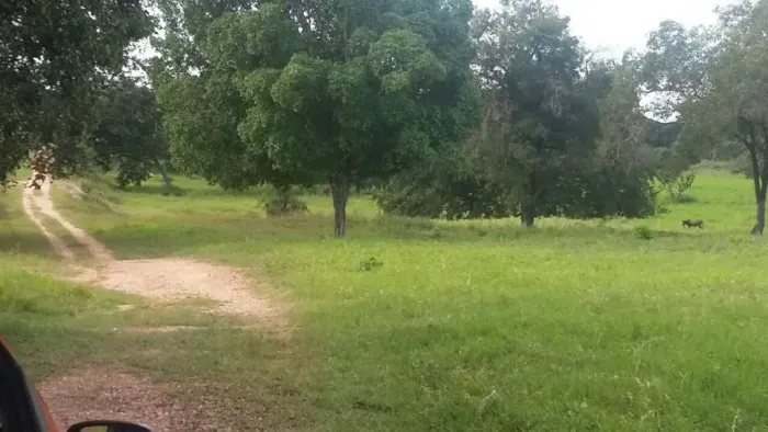 Fazenda para Venda em Barreiras, Área Rural de Barreiras