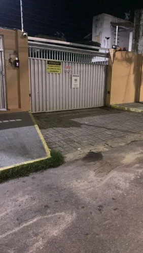 Vendo dois portões