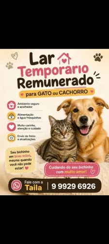 Lar temporário remunerado para pets