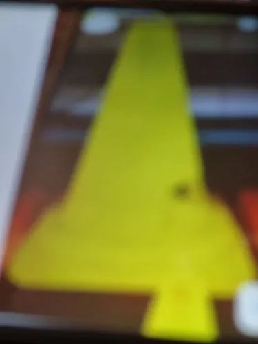 Cones de academia .