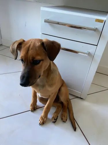 DOAÇÃO RESPONSÁVEL