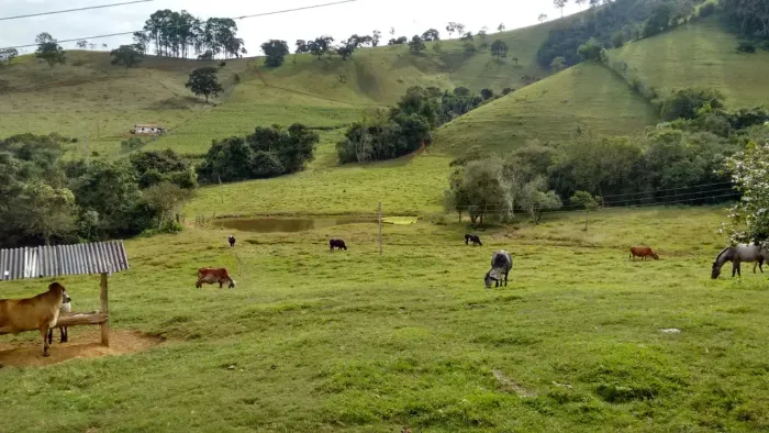 Imóvel para venda tem 181500 metros quadrados com 3 quartos em Sertaozinho - Borda da Mata