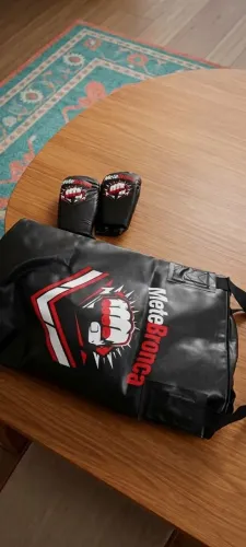 Saco de pancada com luvas