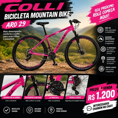Bicicleta