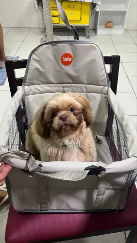 Transpet assento para cães e gatos
