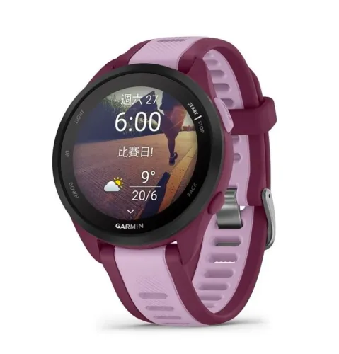 Garmin 165 Music