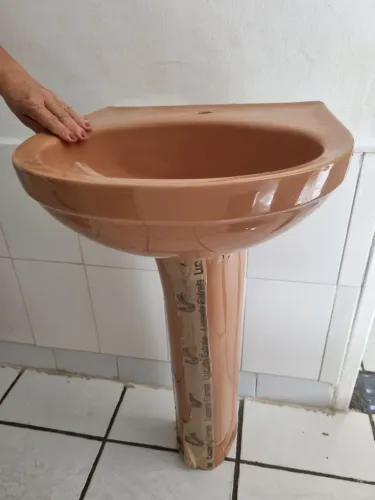 Pia Cor Marrom, Nova