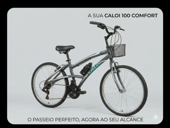 Bicicleta Coloi 100 confort aro 26 