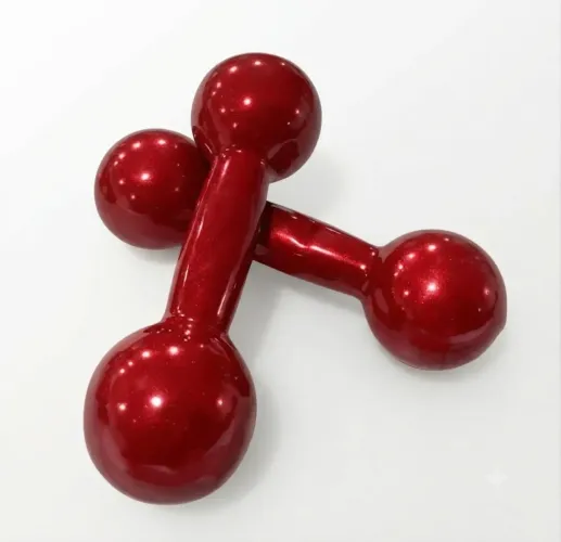 Halter Emborrachado Par - 5 Kg P/ Fortalecimento vermelho