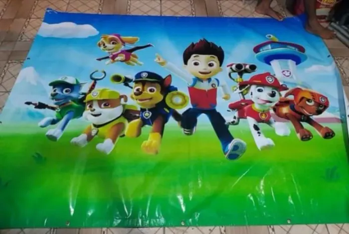 Painel da patrulha canina ACEITO CARTÃO 