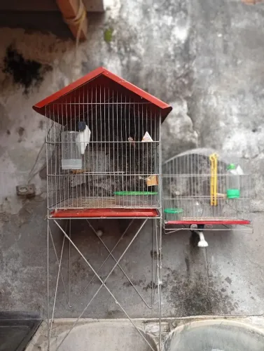 Vende - se duas Gaiolas para Passaros