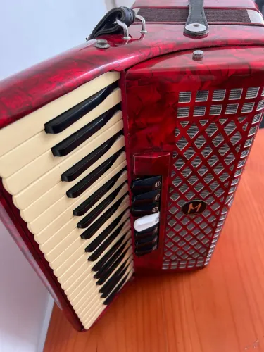 Acordeon Michael