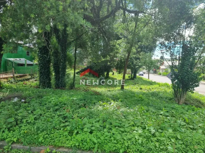Lote em Av Jucelino Kubitscheck de Oliveira - São Rafael - Canela/RS