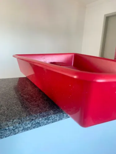 Caixa de areia para gato