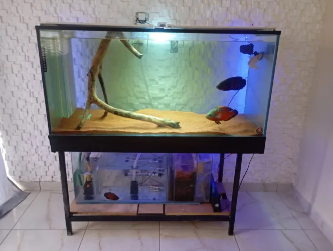 Aquário 130x60x60, 500 litros, vidro 12mm