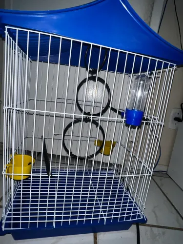Gaiola 