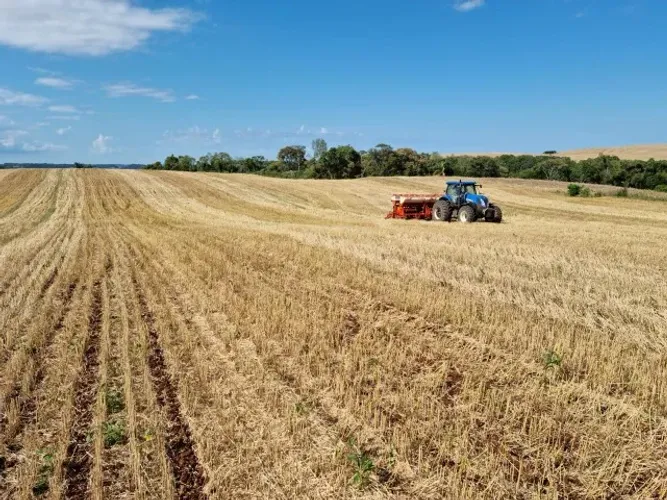 Fazenda Alto Padrão