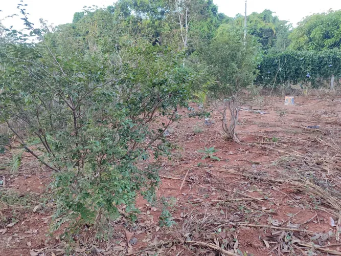 Lote terreno chácara Pirenópolis