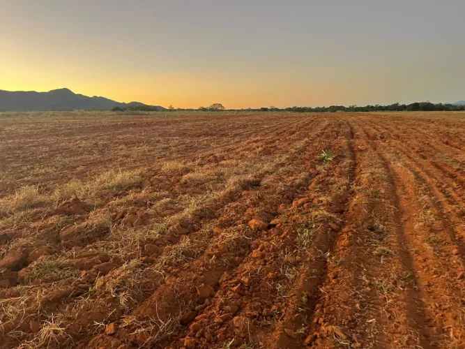 Fazenda 187 alq. Em Palmeirópolis Goiás 70 planta abre + 20 e 30 de pasto R$:19 milhões.