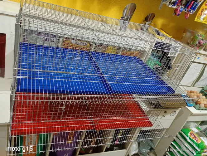 Gaiolas para codornas gigantes