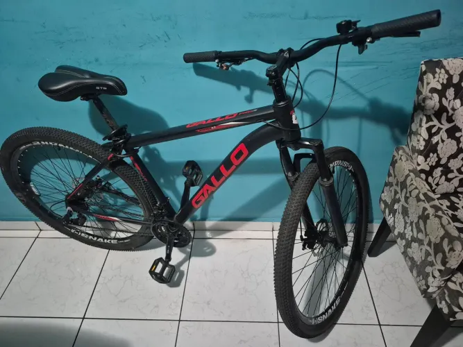 Bicicleta Gallo 29 Alumínio