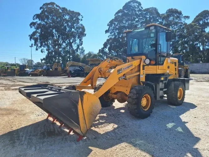 Pa Carregadeira LTMG 2023 LT915