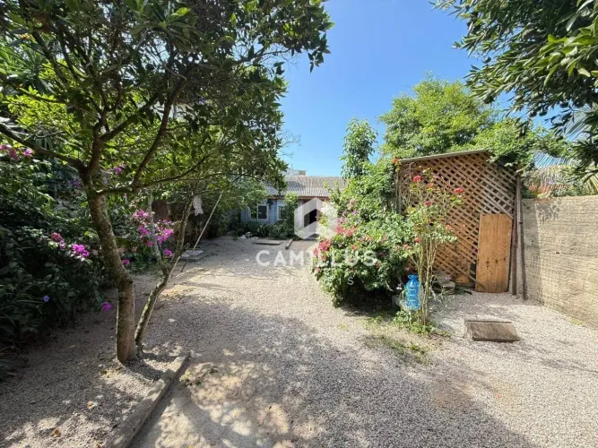 Terreno à venda, 218 m² por R$ 749.000,00 - Morro das Pedras - Florianópolis/SC