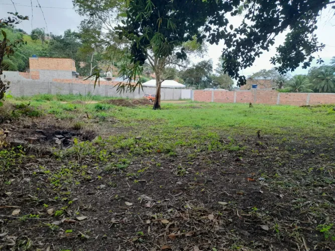 Terreno