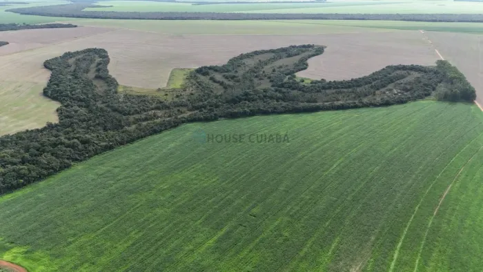 Vendo!! uma Fazenda de 2.700 hectares na região de Canarana/MT
