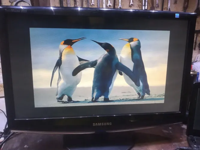Monitor Samsung 20 polegadas VGA e DVI