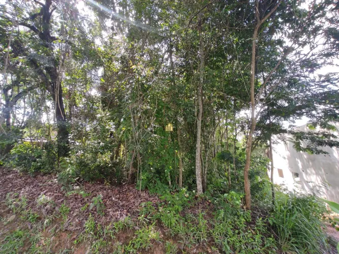 Lote Amplo à Venda no Condomínio Solar das Palmeiras em Esmeraldas - 1.175 m²