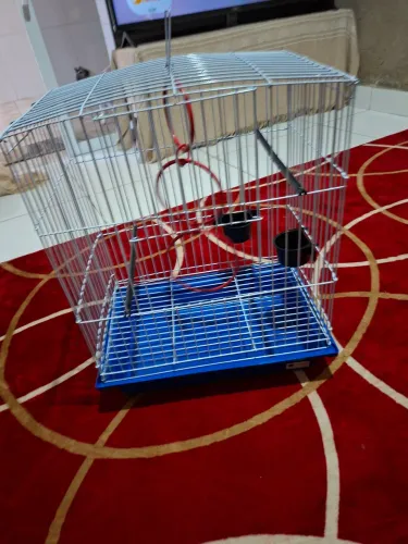 Gaiola seminova 85$