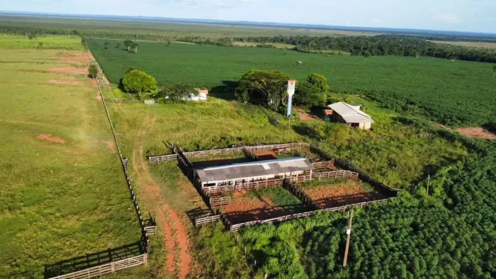 Fazenda rica produtiva em Eldorado-MS