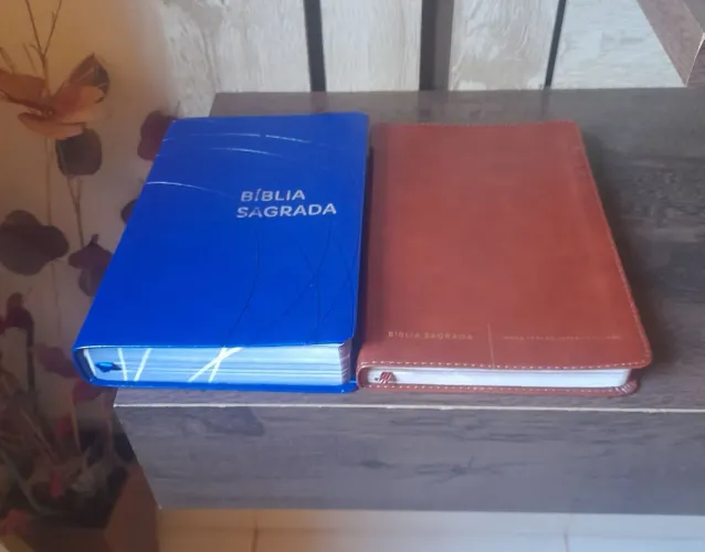 2 bíblias NVT e NVI slim média (conservada)