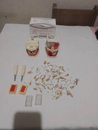 Kit de manequim odontológico