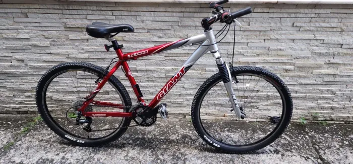 Bicicleta Giant Iguana Aro 26
