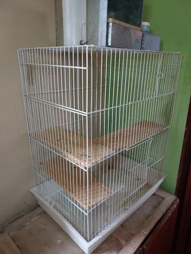 Gaiola para chinchila, pássaros e outros roedores